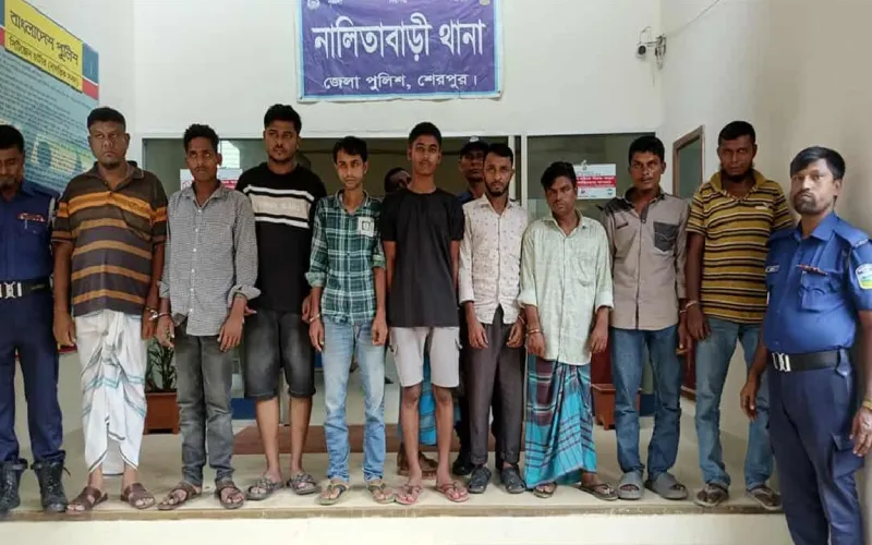 শেরপুরে অর্ধকোটি টাকার পিডিবি ক্যাবল চুরি: ২টি গাড়িসহ ৯ জন আটক