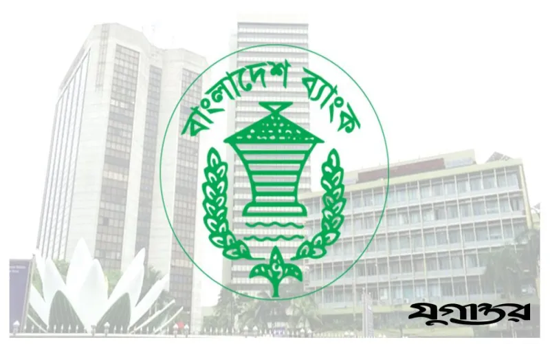 নয়টি আর্থিক প্রতিষ্ঠান বন্ধ হচ্ছে, ঝুঁকিতে আরও ১৩টি