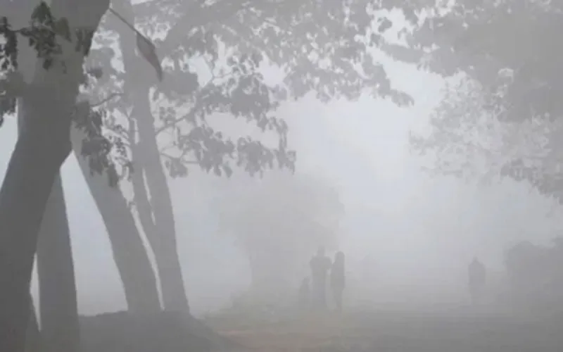 পঞ্চগড়ে তাপমাত্রা ১২ ডিগ্রিতে, হু হু করে বাড়ছে শীত