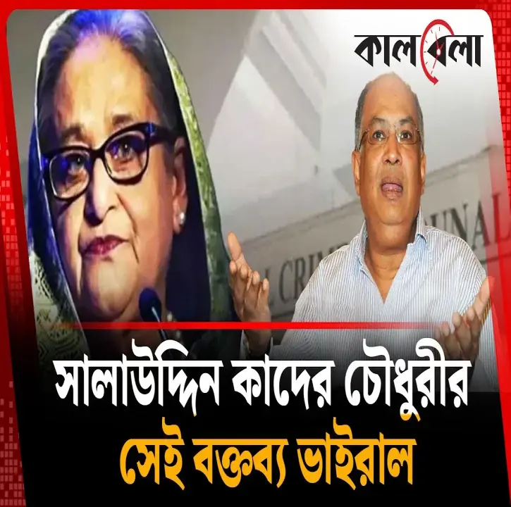 সালাউদ্দিন কাদের চৌধুরীর সেই বক্তব্য ভাইরাল